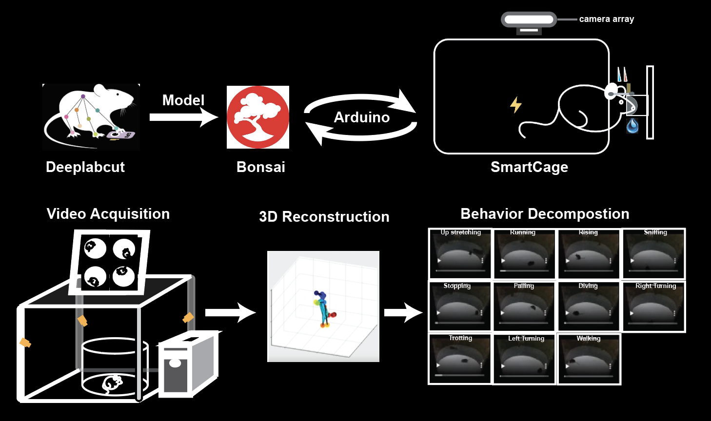 smartCage 用户界面与追踪工作流