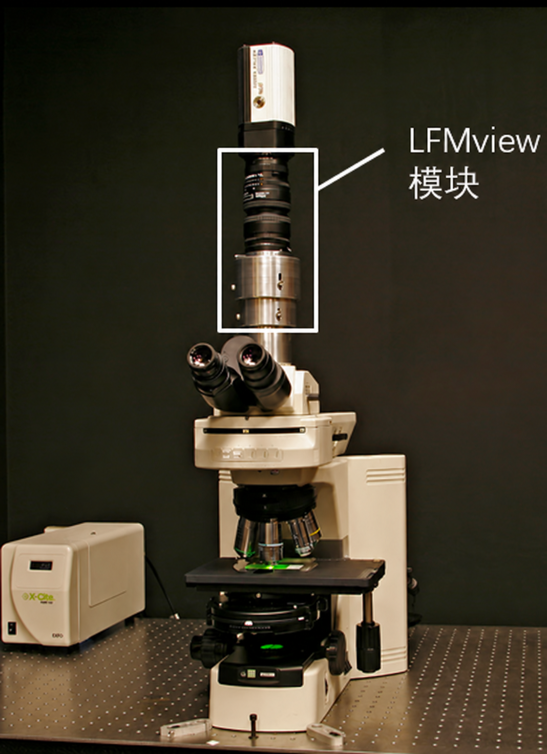 LFMview 光场三维成像模块